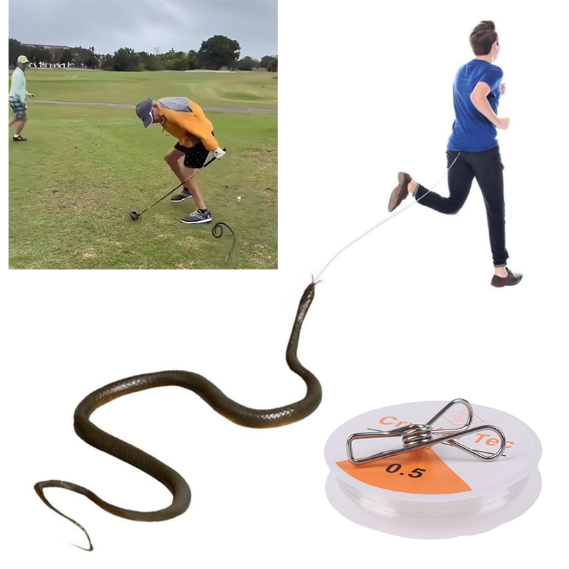 Serpente Giocattolo da Esterno - Prank Toys recensione e prezzo